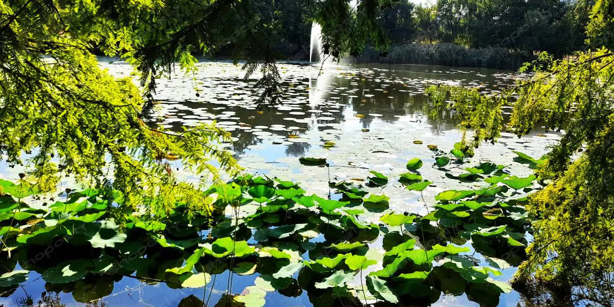 Real Nature Photography Collection – Circus' Park (Parcul Circului), Bucharest, Romania