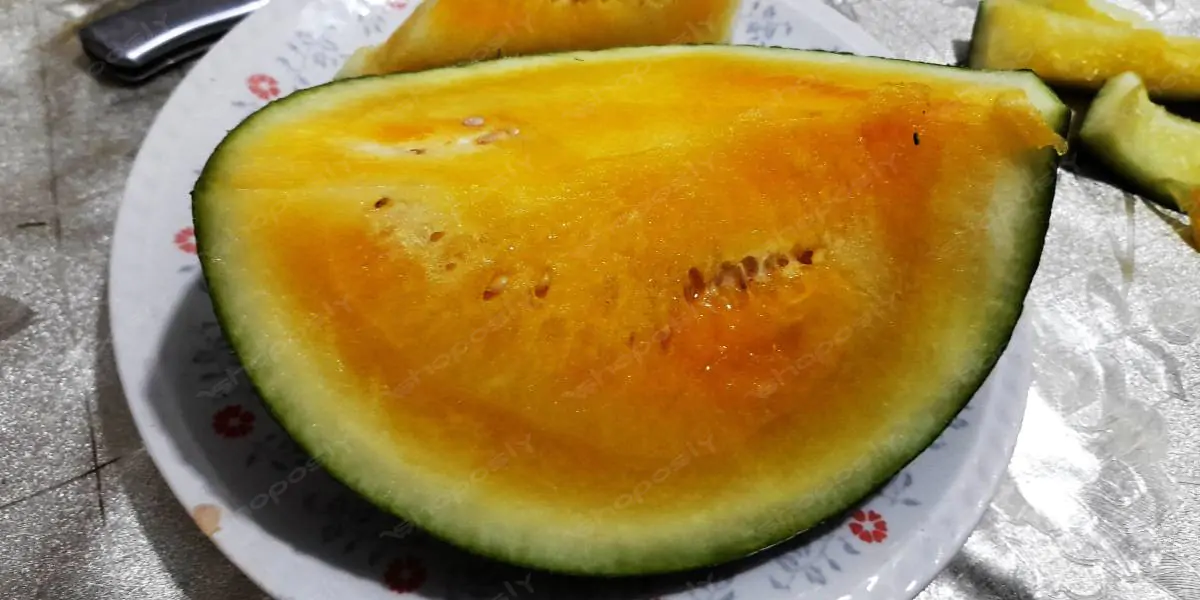 Golden Yellow Watermelon Delight – 2 Authentic High-Resolution Photos