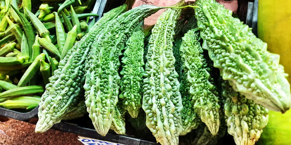 Fresh Bitter Melon (Bitter Gourd) – Vibrant Green, Textured, and Nutrient-Packed in High Resolution