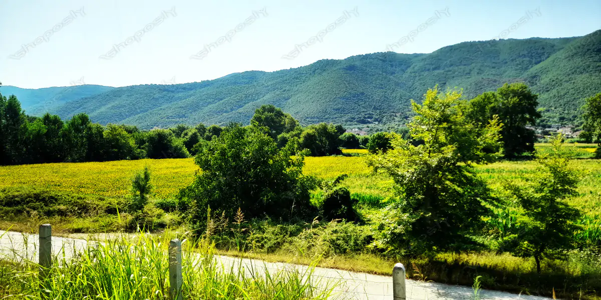 Sunlit Fields and Verdant Mountains – Serene Greek Countryside in Ultra-High Resolution